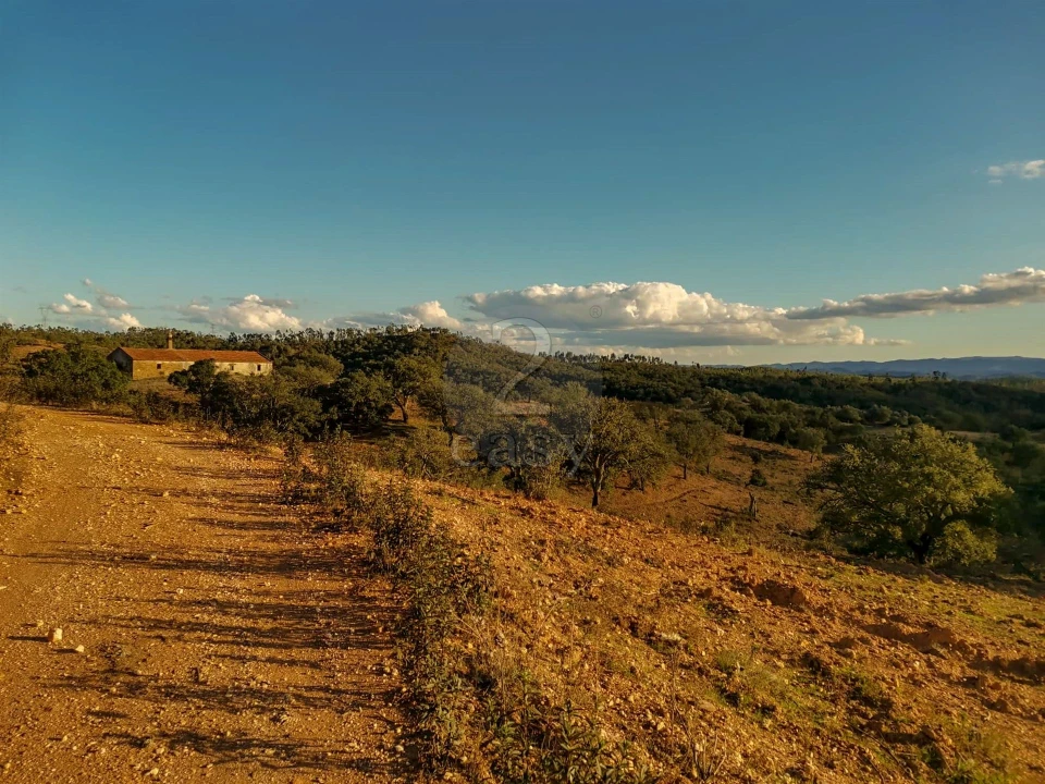 Quinta T0 para Venda em São Salvador e Santa Maria Foto 5