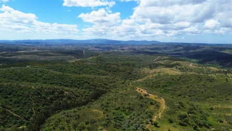 Quinta T0 para Venda em São Salvador e Santa Maria