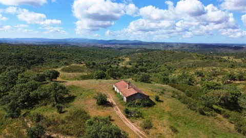 Quinta T0 para Venda em São Salvador e Santa Maria