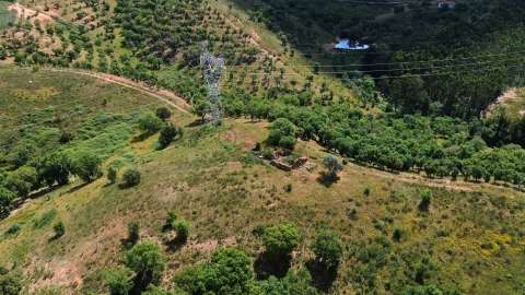 Quinta T0 para Venda em São Salvador e Santa Maria