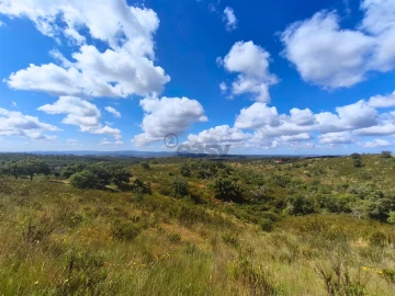 Quinta T0 para Venda em São Salvador e Santa Maria