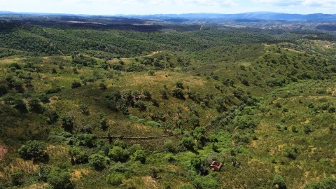 Quinta T0 para Venda em São Salvador e Santa Maria