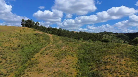 Quinta T0 para Venda em São Salvador e Santa Maria