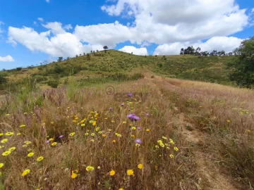Quinta T0 para Venda em São Salvador e Santa Maria