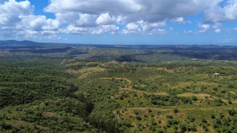 Quinta T0 para Venda em São Salvador e Santa Maria