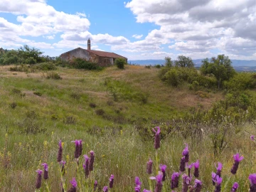 Quinta T0 para Venda em São Salvador e Santa Maria