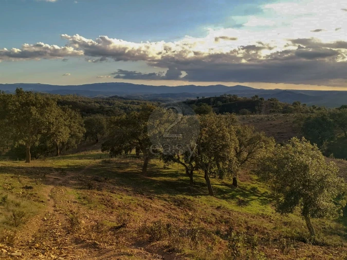 Quinta T0 para Venda em São Salvador e Santa Maria Foto 9