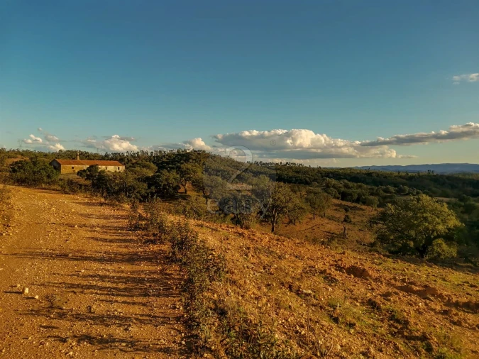 Quinta T0 para Venda em São Salvador e Santa Maria Foto 5