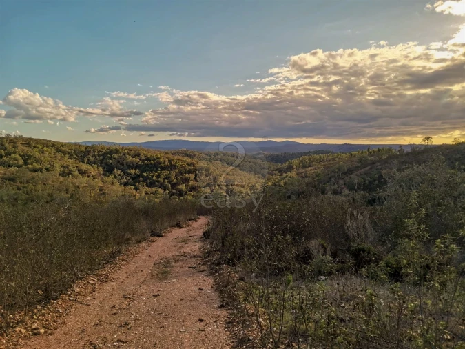 Quinta T0 para Venda em São Salvador e Santa Maria Foto 6