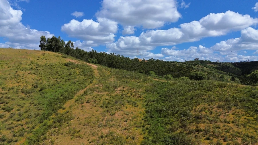 Quinta T0 para Venda em São Salvador e Santa Maria Foto 12