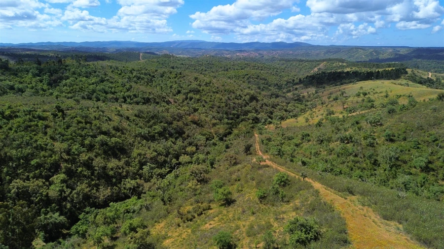 Quinta T0 para Venda em São Salvador e Santa Maria Foto 16