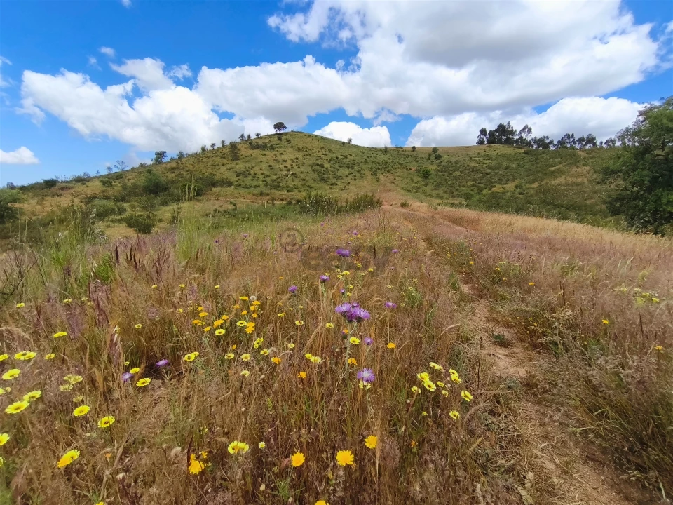 Quinta T0 para Venda em São Salvador e Santa Maria Foto 17