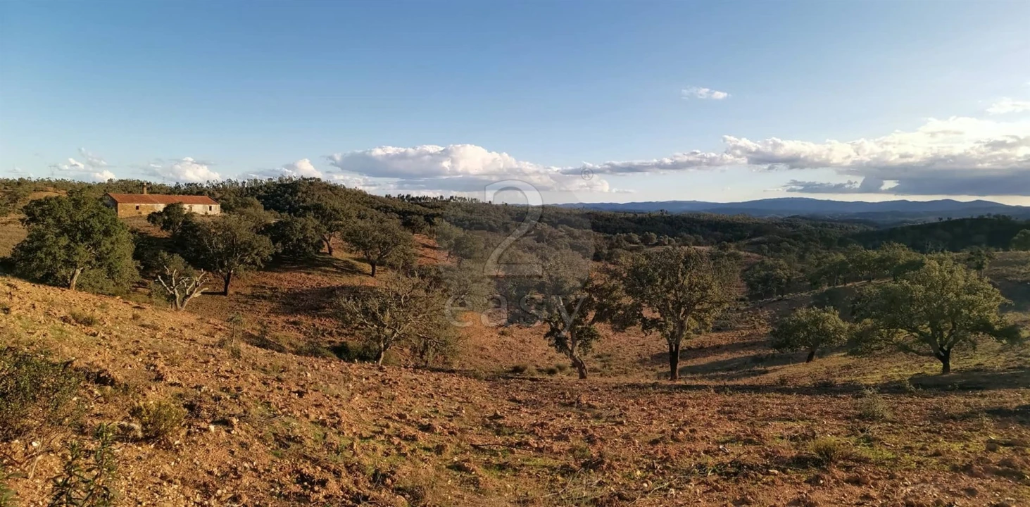 Quinta T0 para Venda em São Salvador e Santa Maria Foto 12