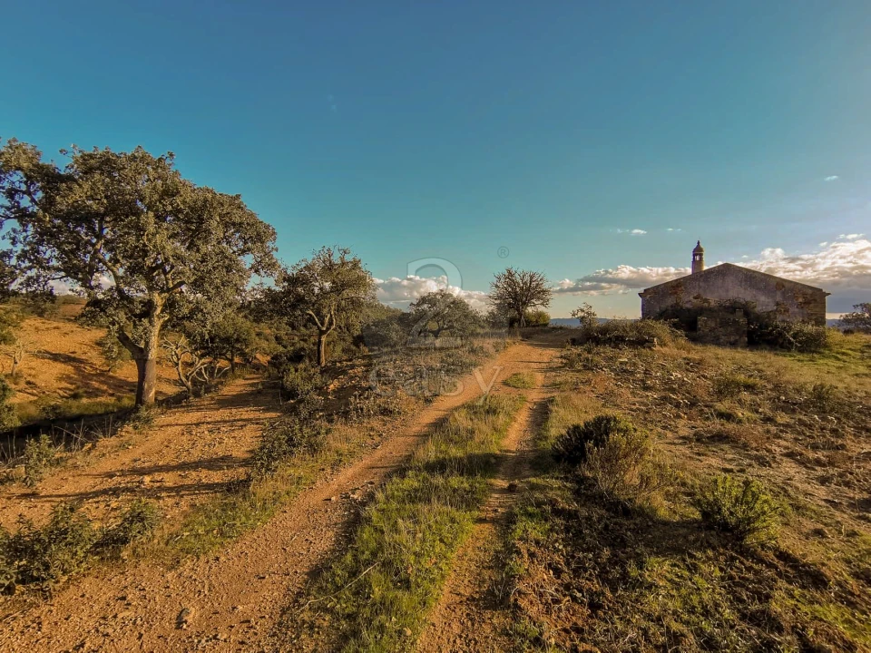 Quinta T0 para Venda em São Salvador e Santa Maria Foto 8