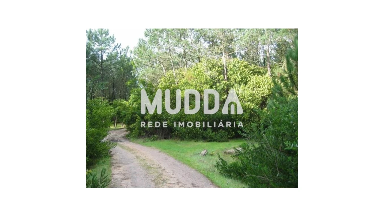 Terreno para Venda em Torreira Foto 2