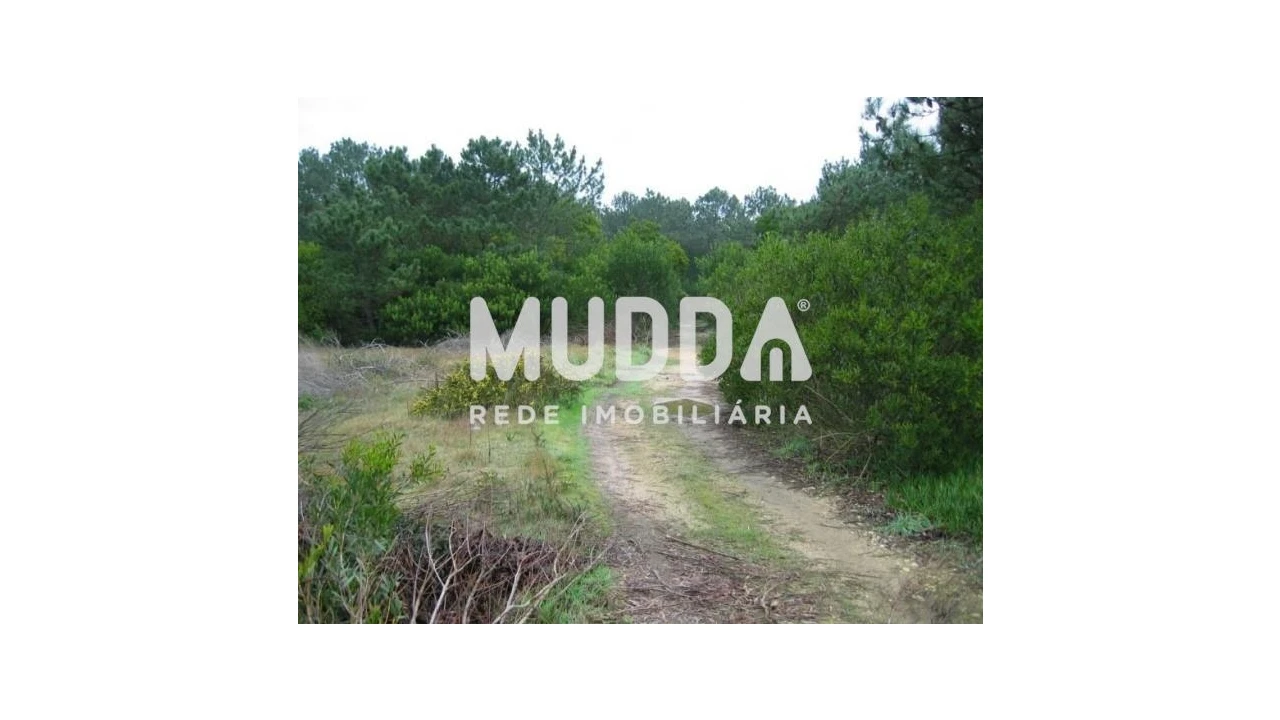 Terreno para Venda em Torreira Foto 3