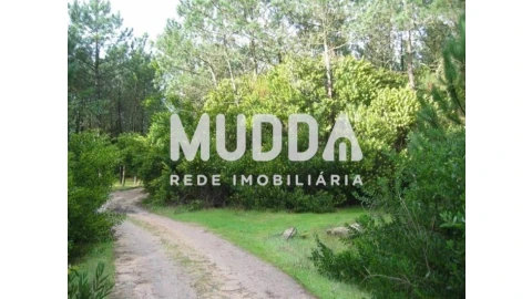 Terreno para Venda em Torreira