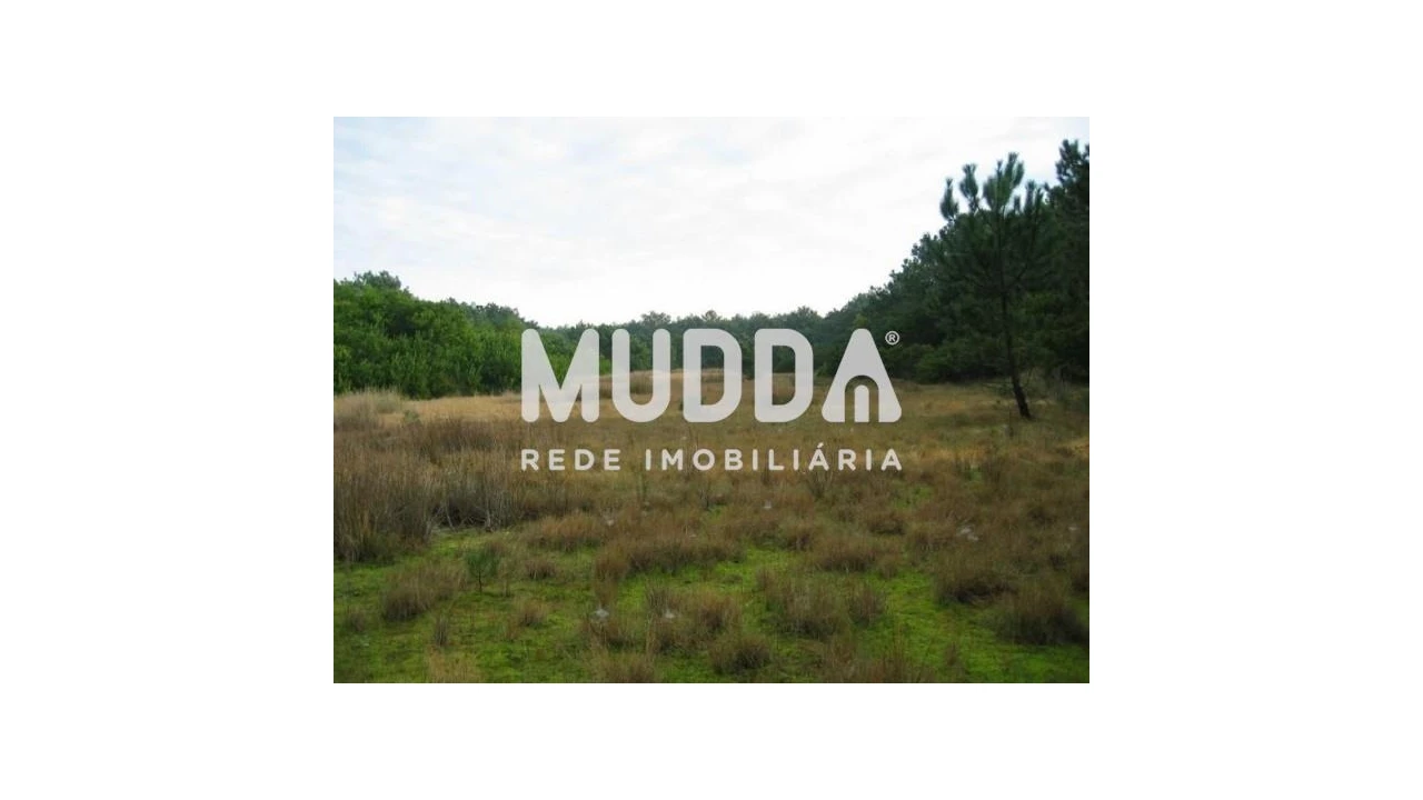 Terreno para Venda em Torreira Foto 4