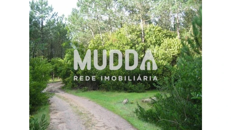 Terreno para Venda em Torreira Foto 2