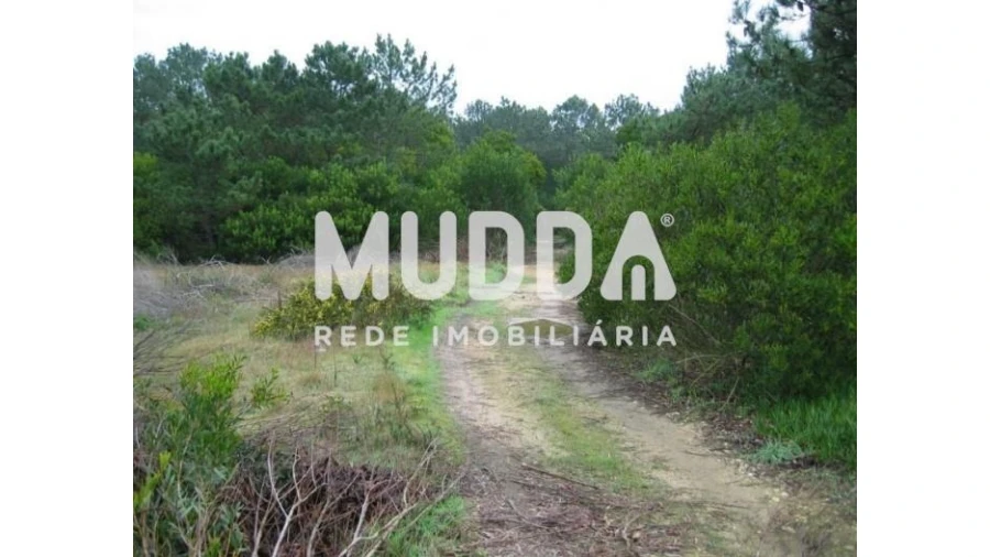 Terreno para Venda em Torreira Foto 3