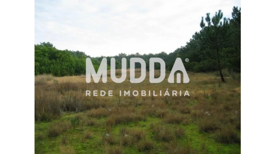 Terreno para Venda em Torreira Foto 4