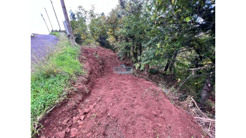 Terreno para Venda em Gaula