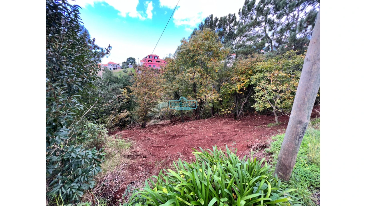 Terreno para Venda em Gaula Foto 4