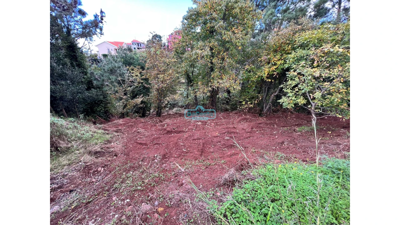 Terreno para Venda em Gaula Foto 5