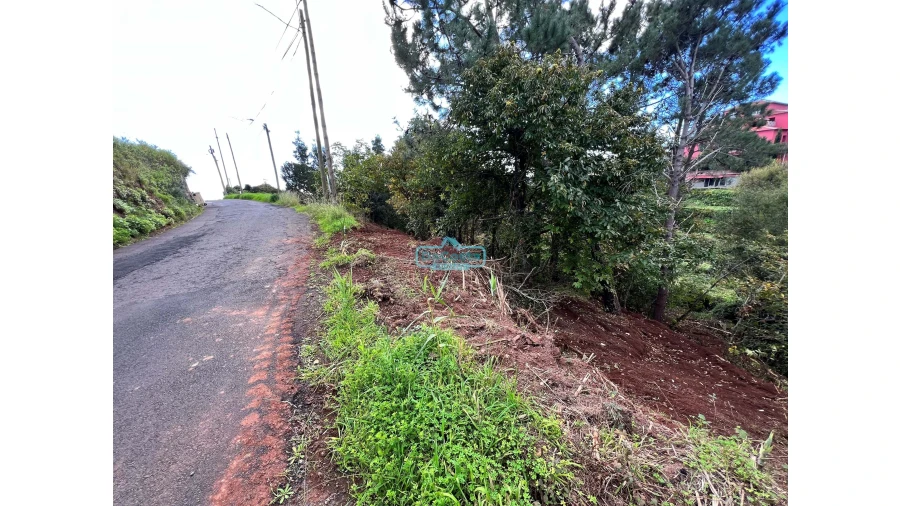 Terreno para Venda em Gaula Foto 3