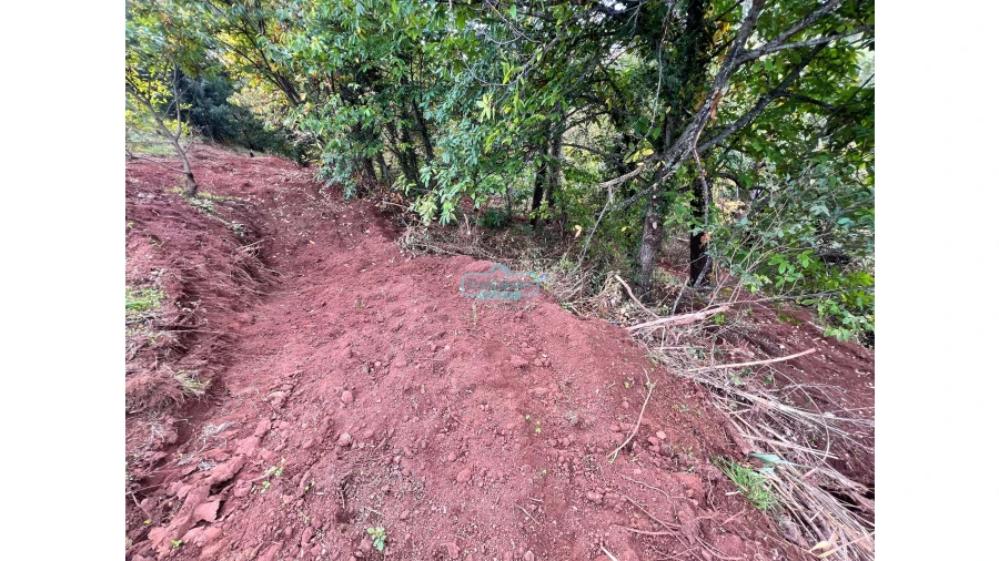Terreno para Venda em Gaula Foto 7