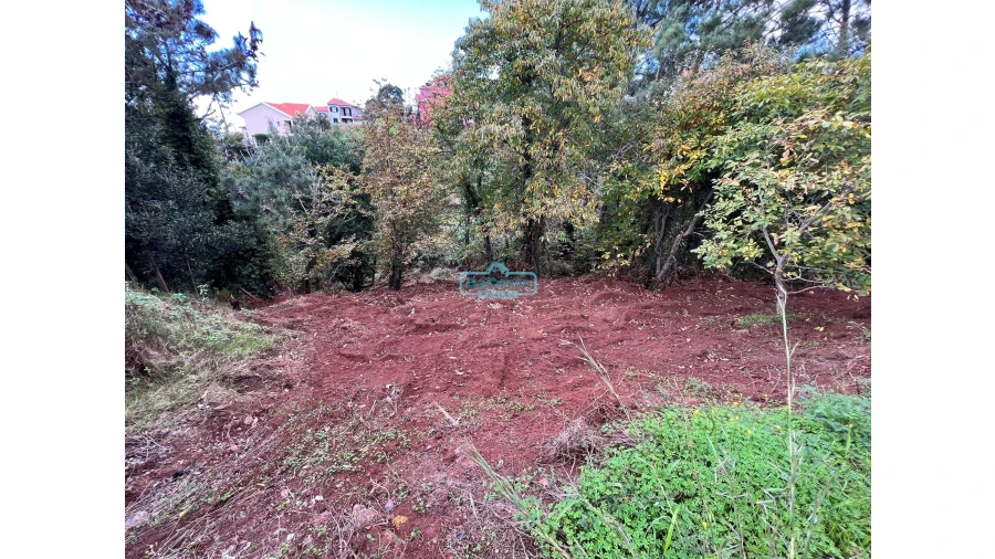 Terreno para Venda em Gaula Foto 5