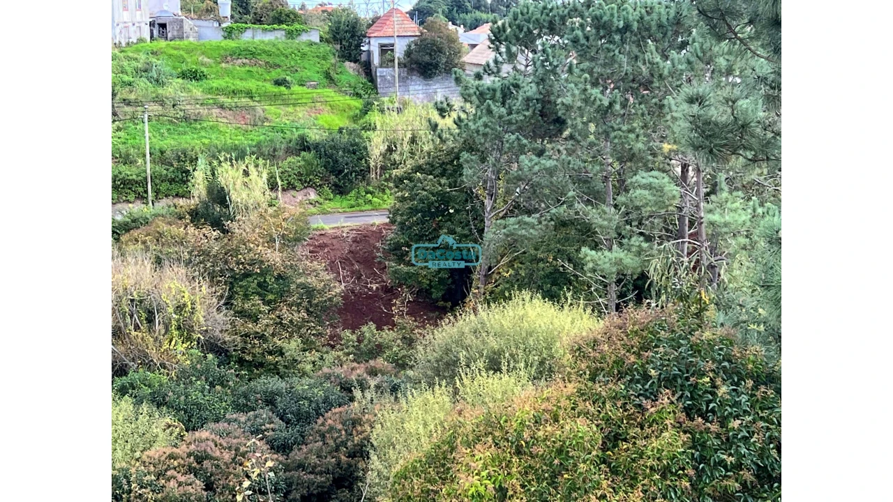 Terreno para Venda em Gaula Foto 8