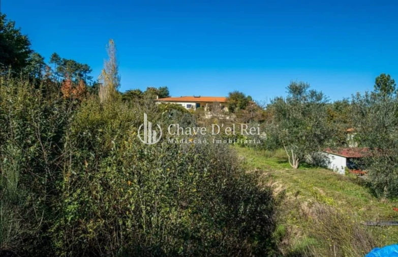 Quinta T0 para Venda em Fragosela Foto 23