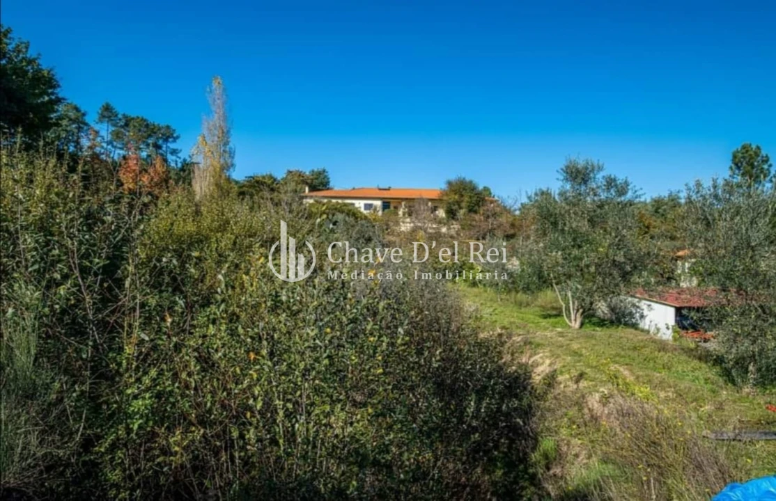 Quinta T0 para Venda em Fragosela Foto 23