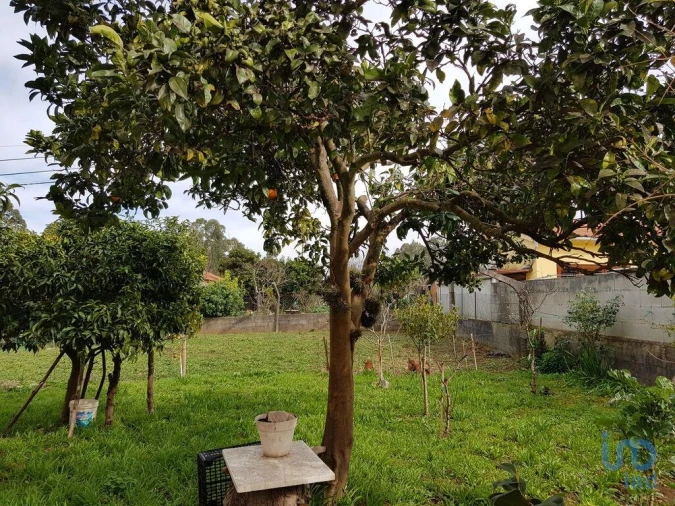 Moradia T4 para Venda em Campos e Vila Meã Foto 8