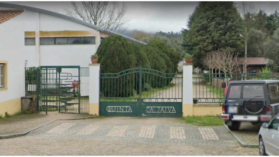 Terreno para Venda em Semide e Rio Vide Foto 10