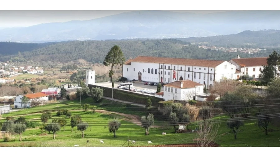 Terreno para Venda em Semide e Rio Vide Foto 7