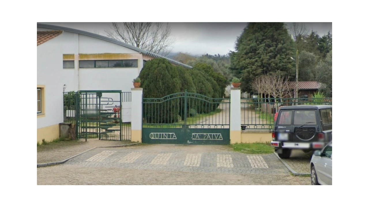 Terreno para Venda em Semide e Rio Vide Foto 10