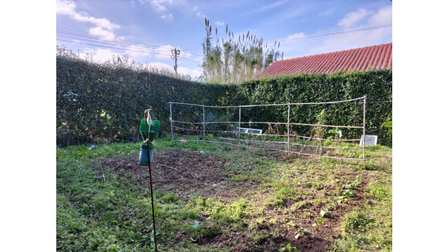 Moradia T3 para Venda em Salão Foto 30