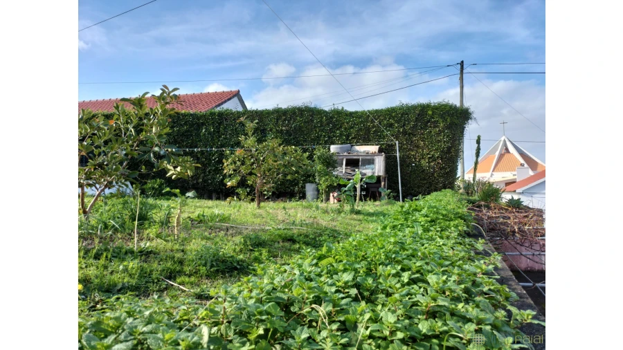 Moradia T3 para Venda em Salão Foto 28