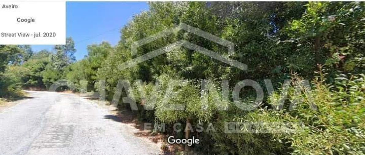 Terreno Misto para Venda em São João de Ver Foto 1