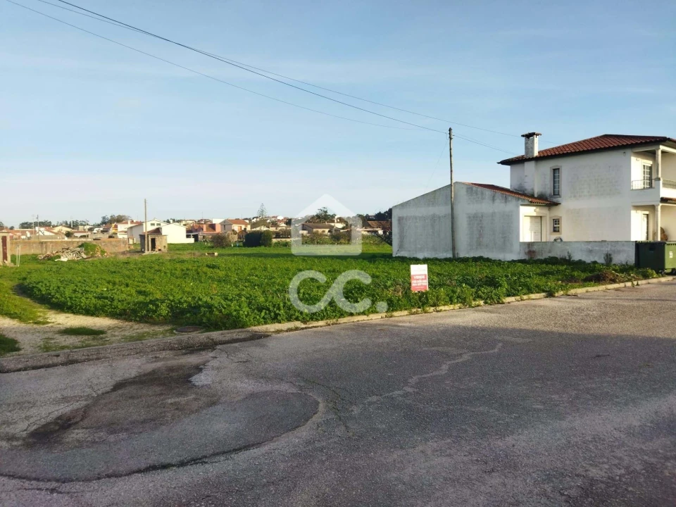 Terreno para Venda em Vieira de Leiria Foto 3