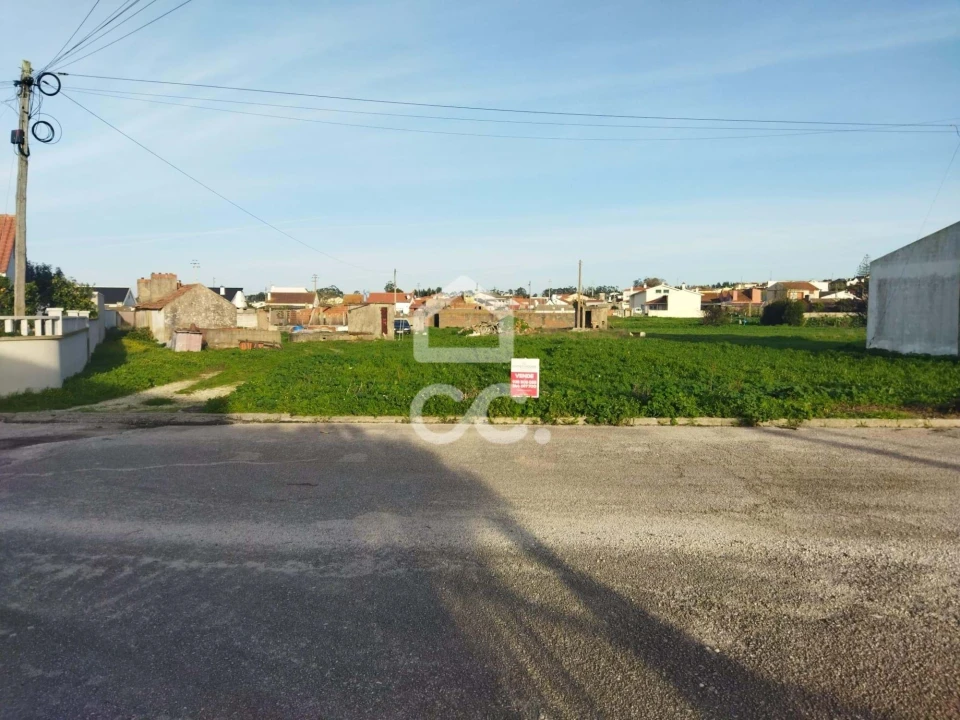 Terreno para Venda em Vieira de Leiria Foto 8