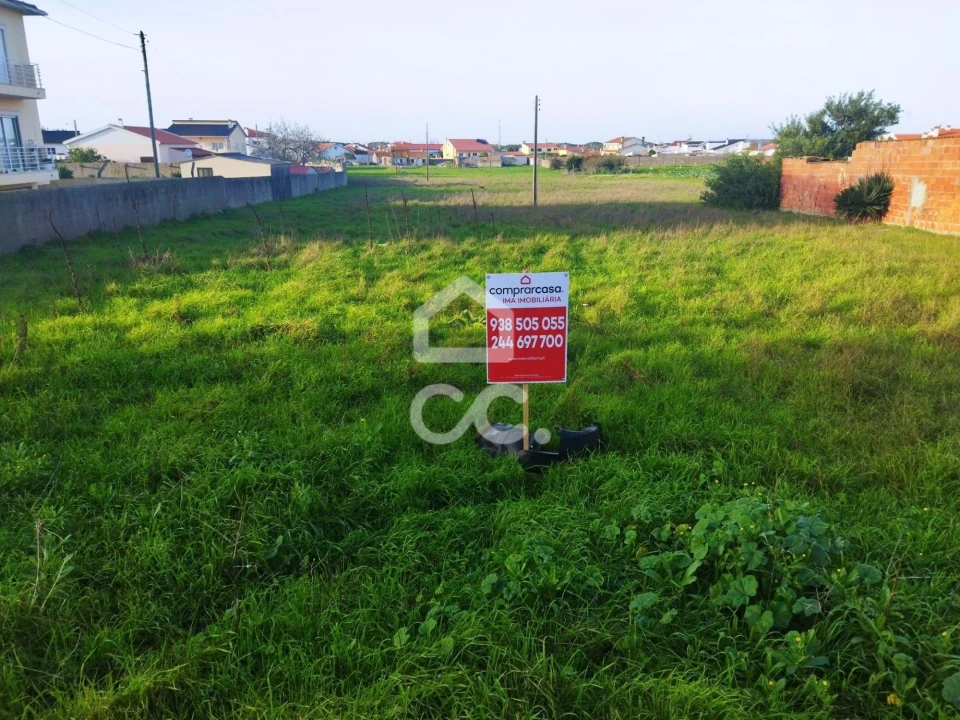 Terreno para Venda em Vieira de Leiria Foto 6