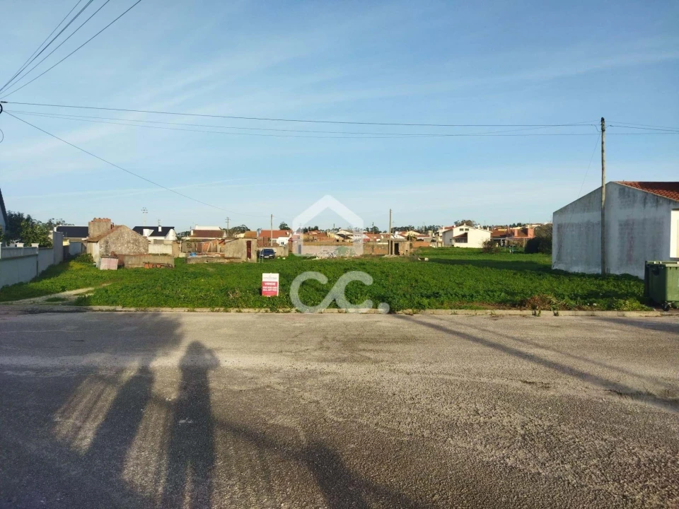 Terreno para Venda em Vieira de Leiria Foto 11