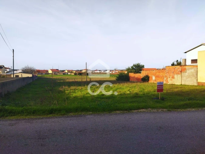 Terreno para Venda em Vieira de Leiria Foto 9