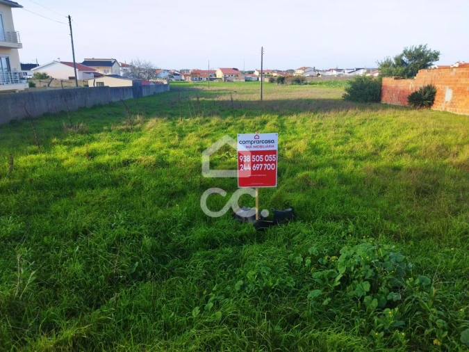 Terreno para Venda em Vieira de Leiria Foto 6