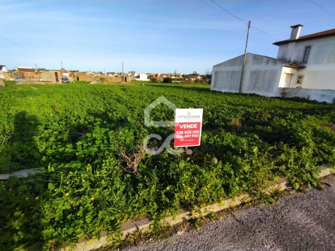 Terreno para Venda em Vieira de Leiria Foto 4