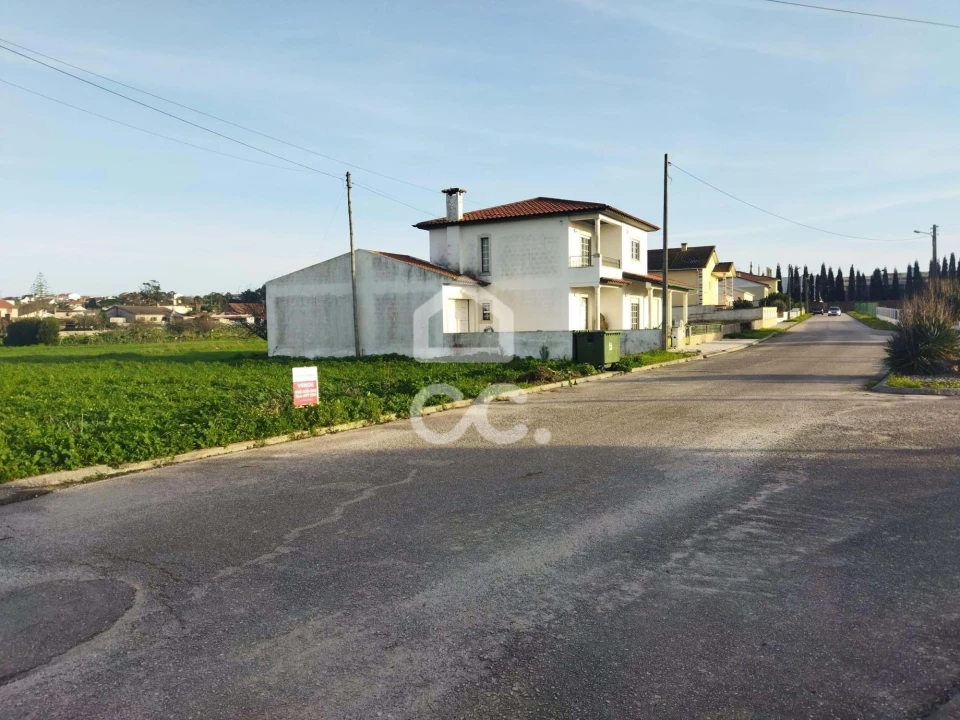 Terreno para Venda em Vieira de Leiria Foto 5