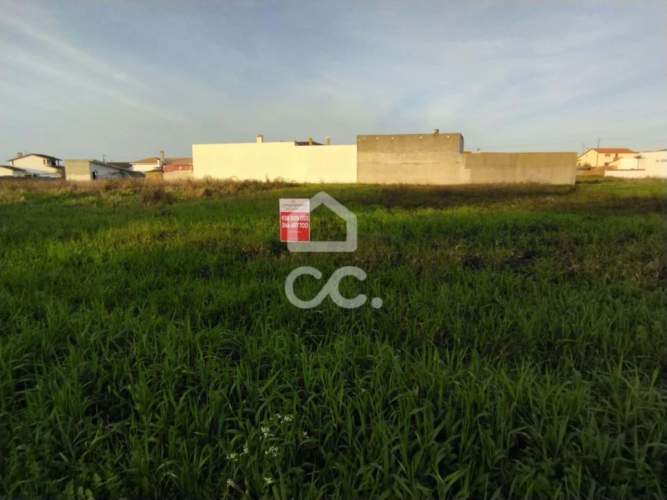 Terreno para Venda em Vieira de Leiria Foto 7